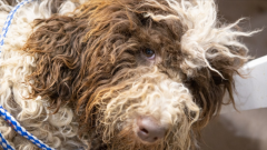 哈尔滨不得开具增值税专用发票的七大类